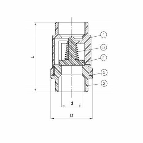 2416-04 - Terugslagklep / G1/2 - DN15 / PN63 / RVS316 - veer