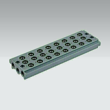 0224000201-1001 - Basisplaat G1/4