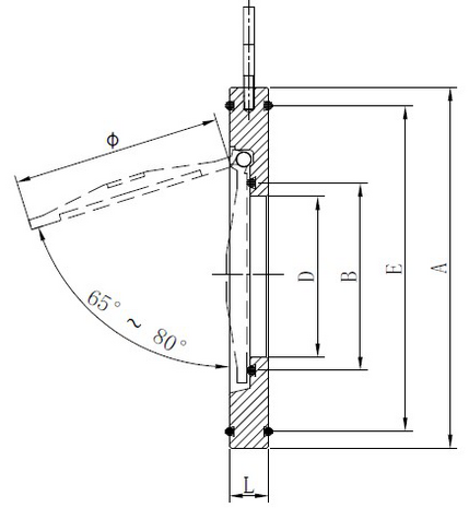 2406-18 - Terugslagklep DN250 RVS 316 type Wafer PN16 - technische tekening