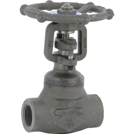 116004 - Gesmeed staal schuifafsluiter 116 DN15 Class 800 NPT TRIM5 stellite-zitting
