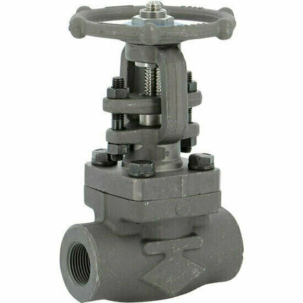 113003 - Gesmeed staal schuifafsluiter 113 DN10 Class 800 NPT TRIM8