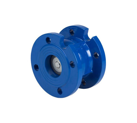 2450-14 - Genebre Terugslagklep DN150 (6"), PN16 GY veerbelast