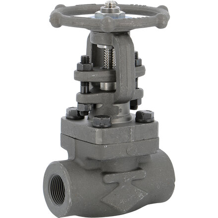 114009 - Schuifafsluiter 114 Gesmeed staal DN50 Class 800 BSPT TRIM8