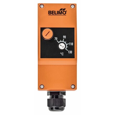 EXT-J-00734647 - Belimo Veiligheidstemperatuurbegrenzer STB, Schakelaar, 70...130°C, Capillair 1 m, Handmatige reset