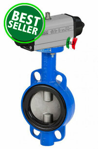 2109 - Vlinderklep Wafer PN16 + SR