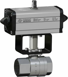 V401 Stark Wafer ,RVS , cf8m valve,pneumatisch bediend,DA,  with polished external  valve - G2 - DN50 / PN 40 DG401H009