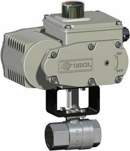 V401 Stark Wafer ,RVS , cf8m,Elektrisch Bediend,electric actuator  Modulating (230 Vac) with polished external valve - G2 1/2 - DN65 / PN 25 M41916L10