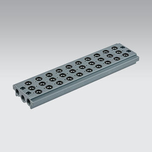 Basisplaat 0223001001  VERZAMELLIJST 10 POSITIES 1/8'' Serie 70 1/8''